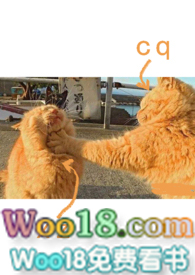 ����������1v2��