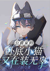 �����ҵ��Ե�Сè����װ�޹�