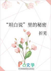 ��̹��˵���������