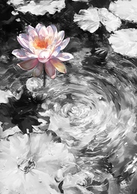 �κɣ�����np��·�ģ�