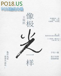 ���������񼫹�һ��